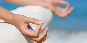 Hands resting in a meditation mudra